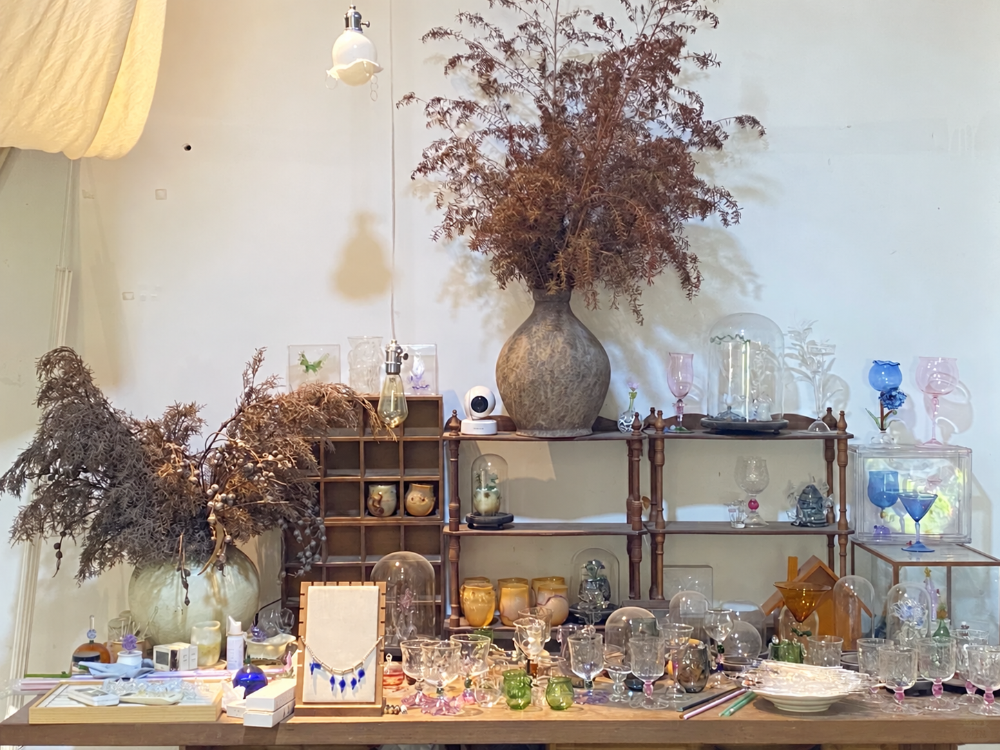 Glass display at Anyan Glass Aesthetics